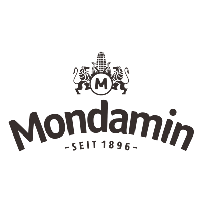 Mondamin Rezept Landing Page
